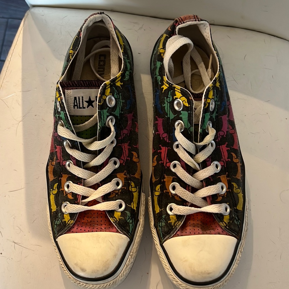 Rare multi color wiener dog Converse All Stars